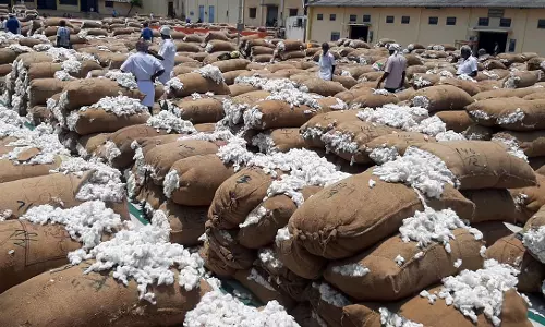 நாமக்கல்லில் ரூ.90 லட்சத்துக்கு பருத்தி ஏலம்