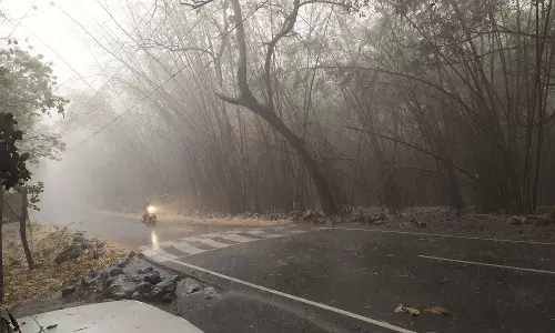 கொல்லிமலை அடிவாரத்தில் பலத்த காற்றுடன் திடீர் மழை