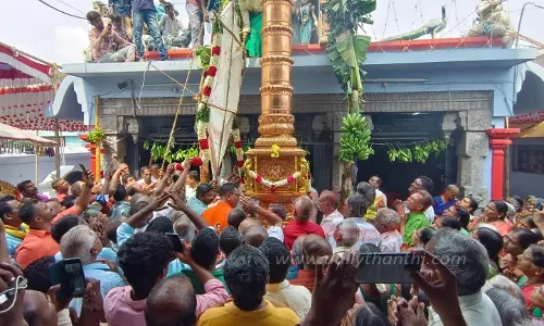 சிவசுப்பிரமணிய சாமி கோவில் பங்குனி உத்திர தேர்த்திருவிழா சிவசுப்பிரமணிய சாமி கோவில் பங்குனி உத்திர தேர்த்திருவிழா