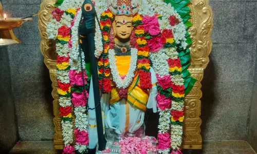 பிலிக்கல்பாளையம் அருகே விஜயகிரி பழனியாண்டவர் கோவில் பங்குனி உத்திர தேர்த்திருவிழா-கொடியேற்றத்துடன் தொடங்கியது