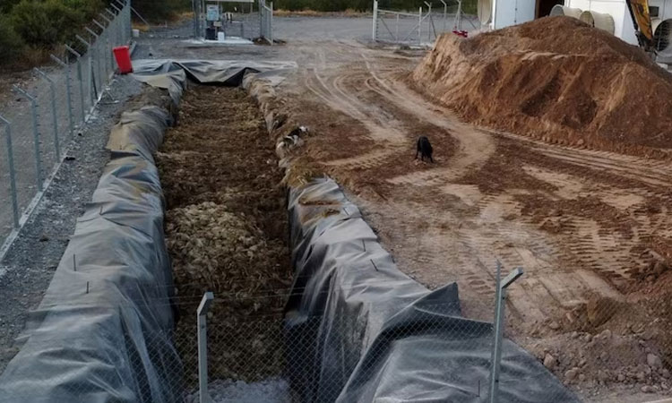 சிலியில் மனிதர் ஒருவருக்கு முதல் முறையாக பறவைக் காய்ச்சல் பாதிப்பு