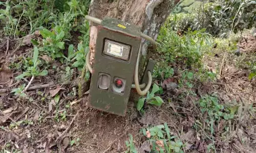 வால்பாறையில் மேய்ச்சலுக்கு சென்ற கன்றுக்குட்டியை கடித்துக் கொன்ற சிறுத்தை-பொதுமக்கள் அச்சம்