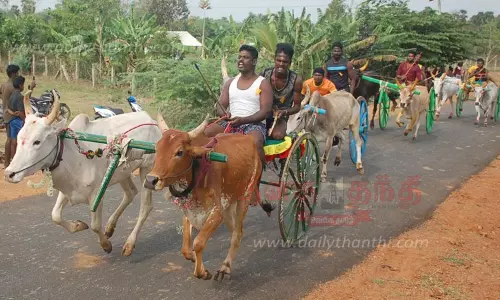 கல்லல் அருகே சீறிப்பாய்ந்த மாட்டு வண்டிகள்