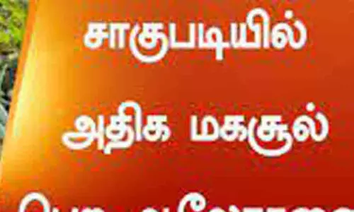 அதிக மகசூல் பெற விதைகளை கடினப்படுத்தி பயன்படுத்துவது எப்படி?-விவசாய அதிகாரி விளக்கம்
