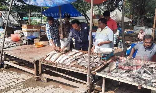 பாலக்கோடுமீன் விற்பனை நிலையங்களில் உணவு பாதுகாப்பு அதிகாரிகள் திடீர் ஆய்வு