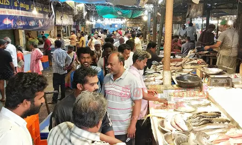வேலூர் மார்க்கெட்டில் மீன்கள் விலை உயர்வு
