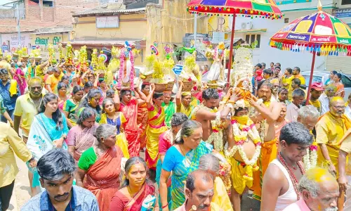 கம்பம் காமாட்சி அம்மன் கோவில் திருவிழா:முளைப்பாரி எடுத்து பெண்கள் ஊர்வலம் கம்பம் காமாட்சி அம்மன் கோவில் திருவிழா:முளைப்பாரி எடுத்து பெண்கள் ஊர்வலம்