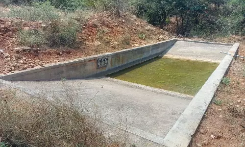 அய்யனார் கோவில் மலைப்பகுதியில்தொட்டிகளில் தண்ணீர் நிரப்பாததால் மான்கள் உயிரிழக்கும் அபாயம் அய்யனார் கோவில் மலைப்பகுதியில்தொட்டிகளில் தண்ணீர் நிரப்பாததால் மான்கள் உயிரிழக்கும் அபாயம்