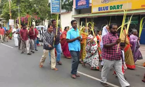 மாவட்டத்தில் குருத்தோலை ஏந்தி கிறிஸ்தவர்கள் பவனி
