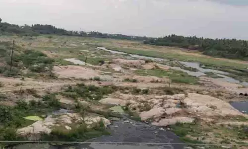 கரூர் அமராவதி ஆறு தண்ணீர் இன்றி வறண்டது