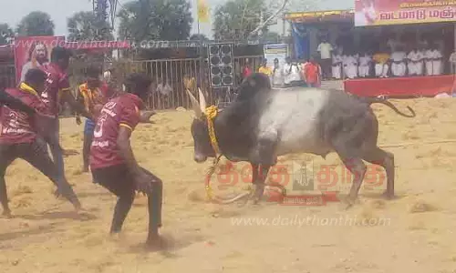 வடமாடு மஞ்சுவிரட்டு வடமாடு மஞ்சுவிரட்டு