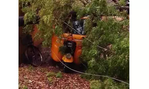 திருச்சியில் கோடை மழை