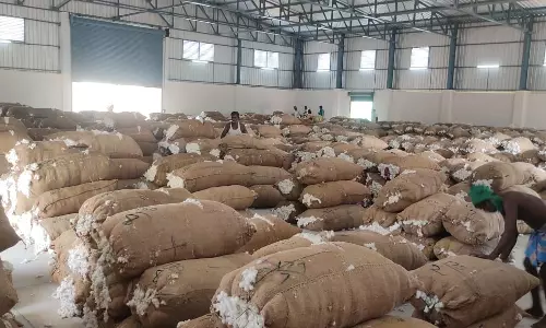 ராசிபுரத்தில் ரூ.45 லட்சத்துக்கு பருத்தி ஏலம்