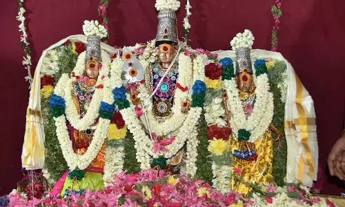 முத்துக்குமாரசுவாமி, வள்ளி-தெய்வானை திருக்கல்யாணம் முத்துக்குமாரசுவாமி, வள்ளி-தெய்வானை திருக்கல்யாணம்