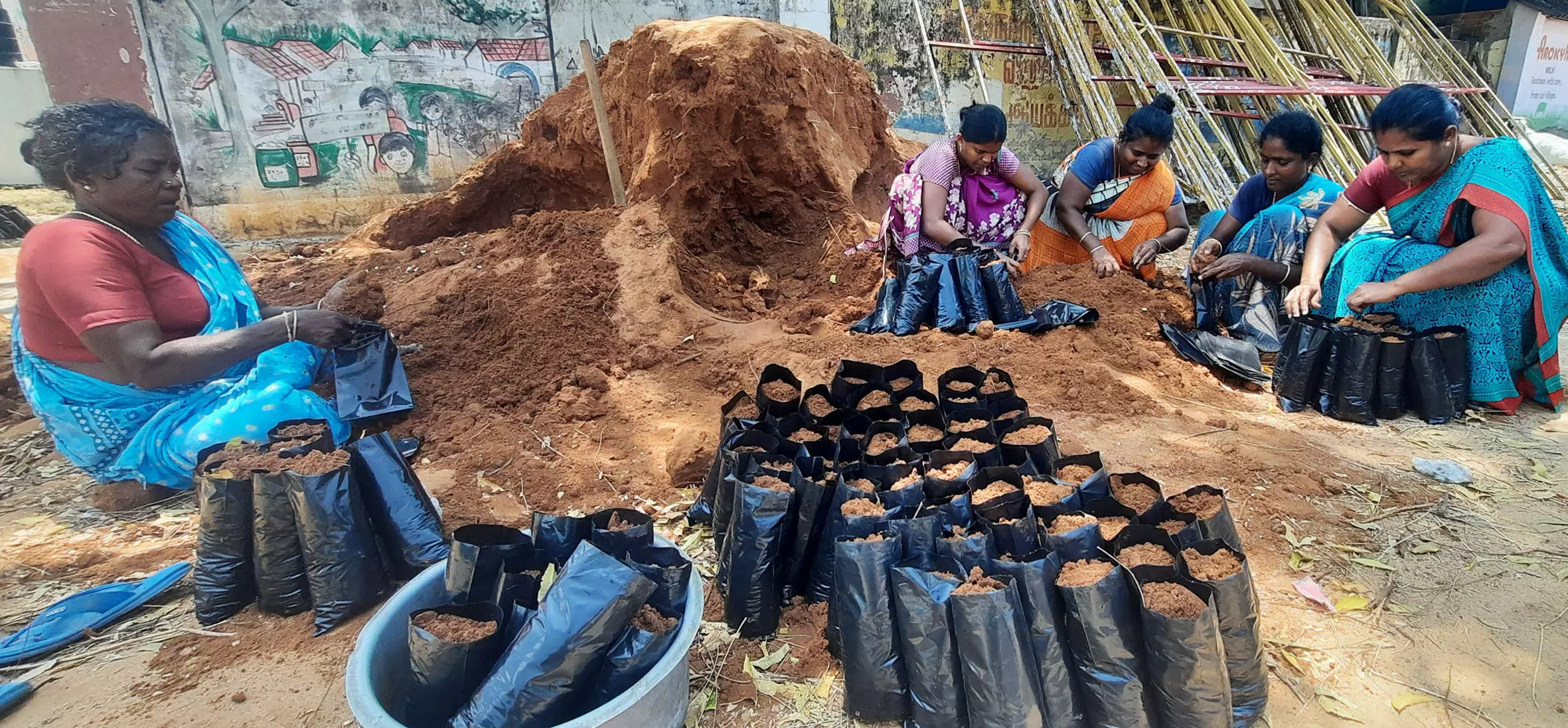 மாவட்டம் முழுவதும் ஒரு கோடி மரக்கன்றுகள் நட திட்டம் மாவட்டம் முழுவதும் ஒரு கோடி மரக்கன்றுகள் நட திட்டம்