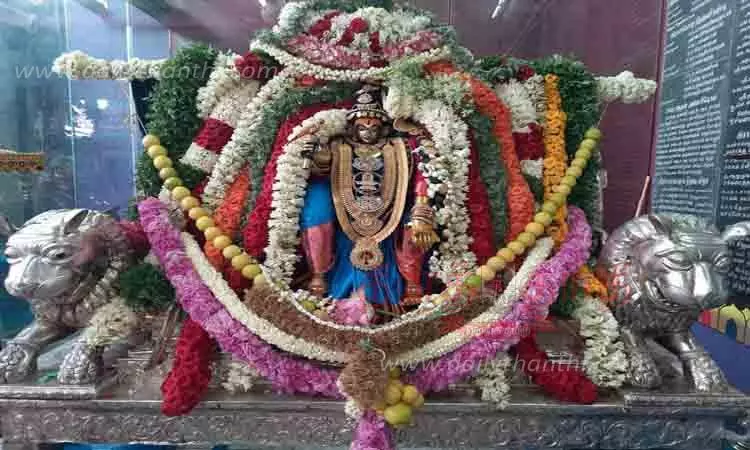 சிறப்பு அலங்காரம் சிறப்பு அலங்காரம்