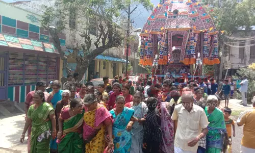 அமரநந்தீஸ்வரர் கோவில் தேரோட்டம்