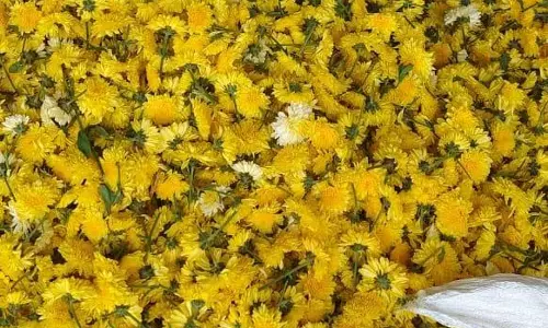 பூக்கள் விலை உயர்வு