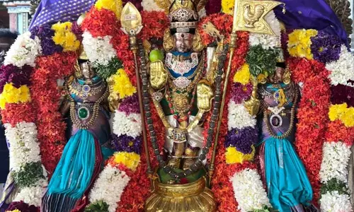 பங்குனி உத்திர திருவிழாவையொட்டி முருகன் கோவில்களில் சிறப்பு வழிபாடு- திரளான பக்தர்கள் சாமி தரிசனம்