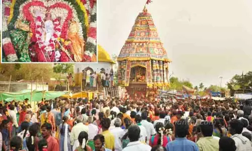 செட்டிகுளம் தண்டாயுதபாணி சுவாமி கோவில் பங்குனி உத்திர தேரோட்டம்