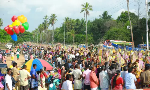 முருகன் கோவில்களில் பங்குனி உத்திர திருவிழா