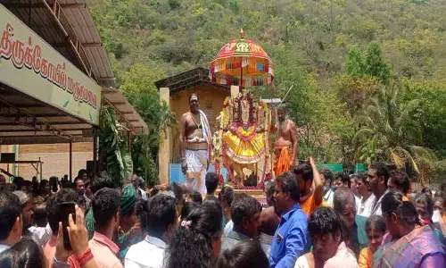 மருதமலை கோவிலில் பங்குனி உத்திர திருவிழா மருதமலை கோவிலில் பங்குனி உத்திர திருவிழா