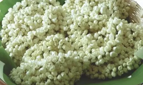 திருவாரூரில் 1 கிலோ  மல்லிகை பூ ரூ.400-க்கு விற்பனை