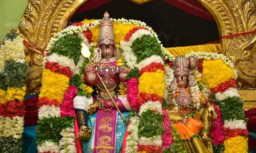 பால்குடம், காவடி எடுத்து நேர்த்திக்கடன் செலுத்திய பக்தர்கள்