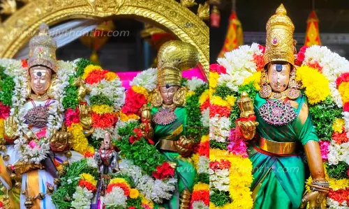 பங்குனி உத்திரத்தையொட்டி  மதுரை செல்லூர் திருவாப்புடையார் கோவிலில் மீனாட்சி-சுந்தரரேசுவரர் எழுந்தருளினர்