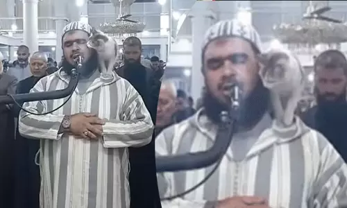 தொழுகையின் போது இமாம் மீது பாய்ந்த பூனை...! பிறகு நடந்தது என்ன...?