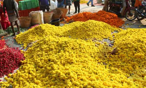 பிச்சிப்பூ வரத்து குறைந்ததால் விலை உயர்ந்தது