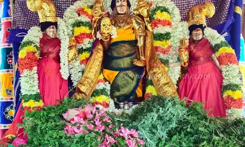 நரசிம்மசாமி கோவில் தேரோட்டம்