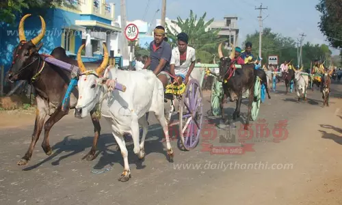ஏரியூர் கிராமத்தில் மாட்டு வண்டி பந்தயம் ஏரியூர் கிராமத்தில் மாட்டு வண்டி பந்தயம்