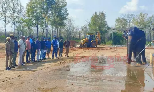 நெல்லையில் பார்வைத்திறன் பாதிக்கப்பட்ட யானை மீட்பு