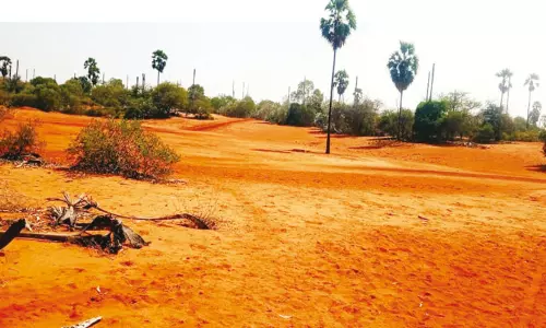 தமிழர்களின் தொன்மைகள் புதைந்து கிடக்கும் செம்மண் மூடிய தேரிக்காடு