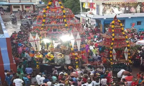 வைத்திலிங்க சுவாமி கோவிலில் பங்குனி தேரோட்டம்