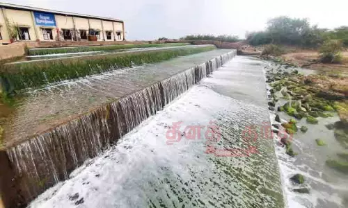 வாலிநோக்கத்தில் உப்பு உற்பத்தி பணி தீவிரம்