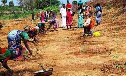 குறுங்காடுகள் வளர்ப்பில் ஆர்வம் காட்டும் மக்கள் குறுங்காடுகள் வளர்ப்பில் ஆர்வம் காட்டும் மக்கள்