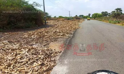 களக்காடு-சேரன்மாதேவி சாலையோரங்களில் வாழைத்தார் கழிவுகளை வீசுவதால் விலங்குகளுக்கு ஆபத்து; வனத்துறையினர் எச்சரிக்கை