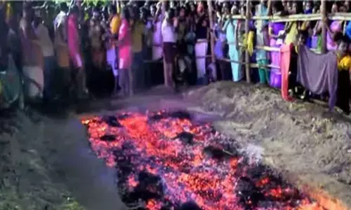 ஸ்ரீமுஷ்ணம் திரவுபதி அம்மன் கோவிலில் தீமிதி திருவிழா