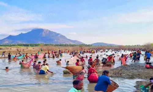 சிங்கம்புணரி அருகே மீன்பிடி திருவிழா