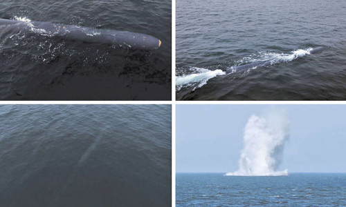 வடகொரியா மீண்டும் கடலுக்கு அடியில் அணு ஆயுத சோதனை