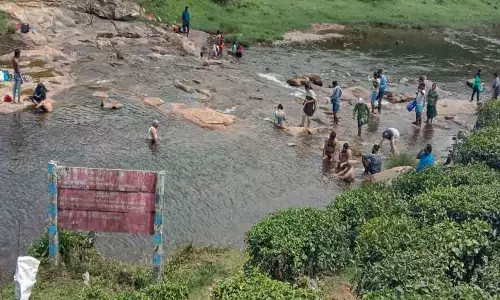 வால்பாறைக்கு சுற்றுலா பயணிகள் வருகை அதிகரிப்பு வால்பாறைக்கு சுற்றுலா பயணிகள் வருகை அதிகரிப்பு