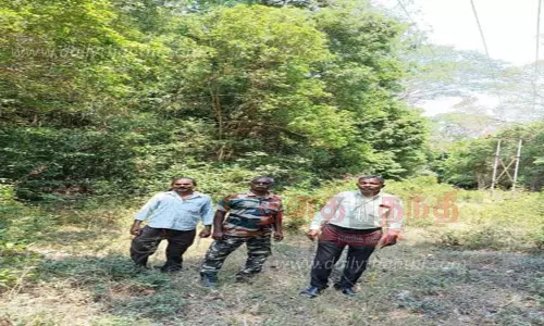 பாபநாசம் வனப்பகுதியில் மின்கம்பிகளை உயர்த்தி அமைக்க அதிகாரிகள் ஆய்வு பாபநாசம் வனப்பகுதியில் மின்கம்பிகளை உயர்த்தி அமைக்க அதிகாரிகள் ஆய்வு