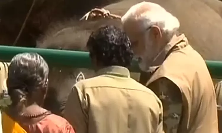 பொம்மன் - பெள்ளி தம்பதியுடன் பிரதமர் மோடி கலந்துரையாடல் பொம்மன் - பெள்ளி தம்பதியுடன் பிரதமர் மோடி கலந்துரையாடல்