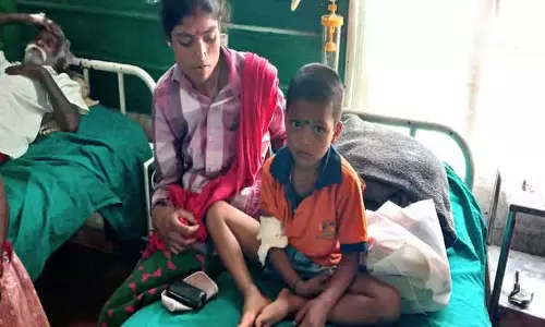 வால்பாறையில் சிறுத்தை தாக்கி சிறுவன் படுகாயம்