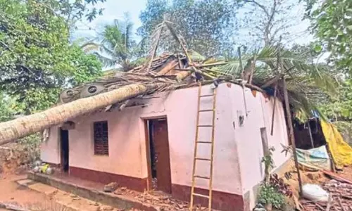 தட்சிண கன்னடாவில் பலத்த மழை தட்சிண கன்னடாவில் பலத்த மழை