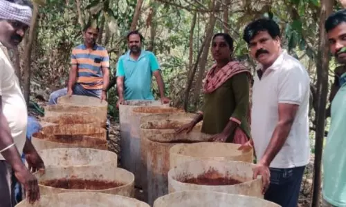 8,800 லிட்டர் சாராய ஊறல் அழிப்பு