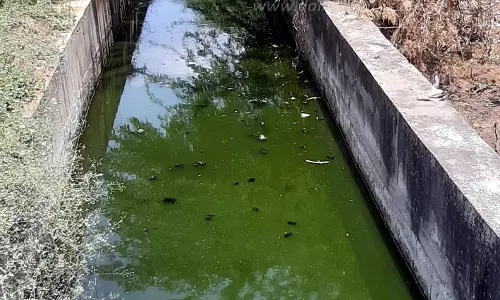 கழிவுநீர் பிரச்சினையால் கதி கலங்கும் மக்கள்