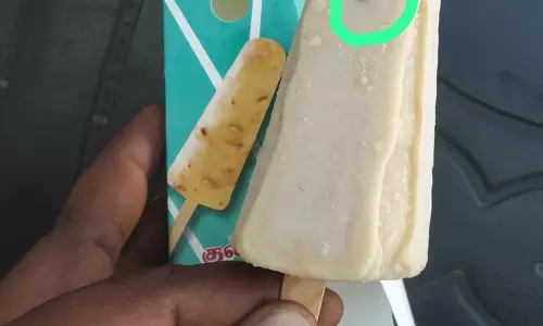 குல்பி ஐஸ்சில் செத்து கிடந்த ஈ